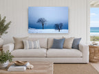 Two Trees in Winter landscape canvas print on the wall of a beach house living room