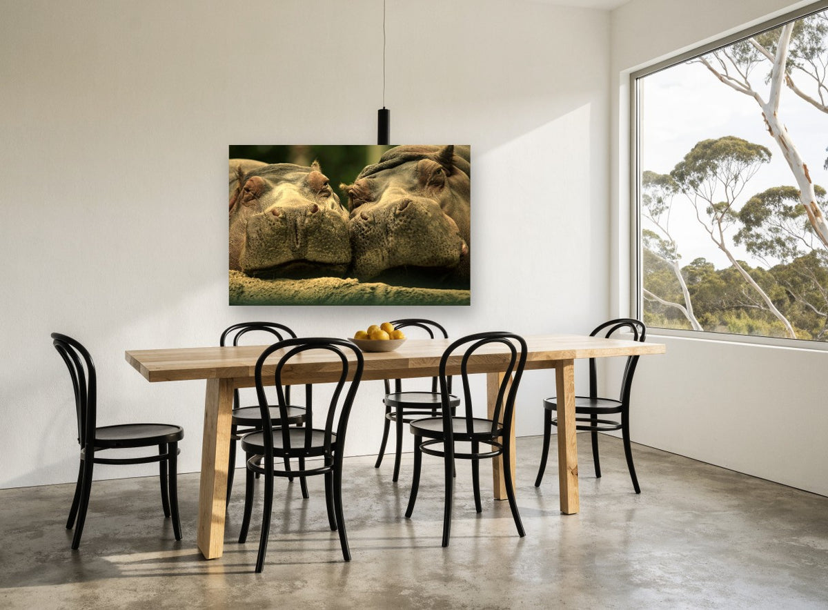 Hippo Pair Cheek to Cheek animal canvas print on the wall of a dining room