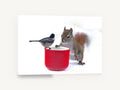 Chickadee and Squirrel, squirrel and chickadee photograph, animal canvas wall art print ready to hang
