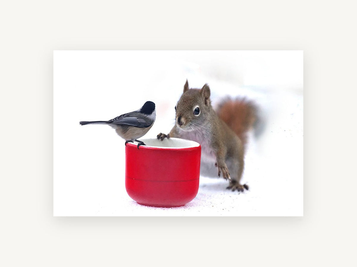 Chickadee and Squirrel, squirrel and chickadee photograph, animal canvas wall art print, front view