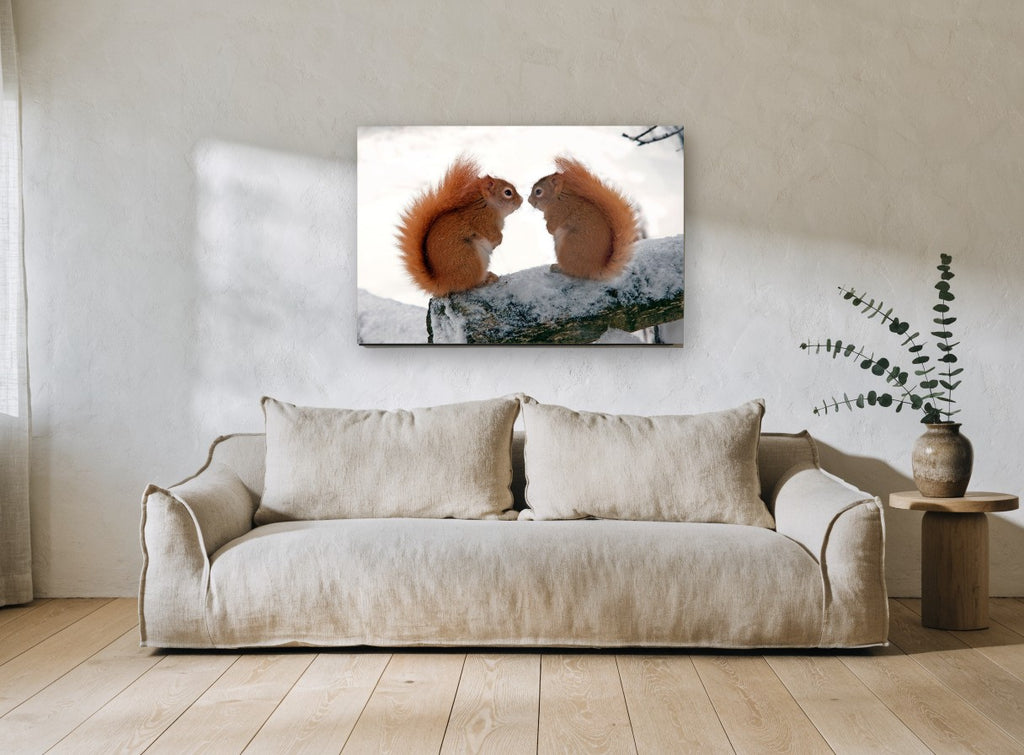 Winter Squirrel Pair landscape canvas print on the wall of a living room