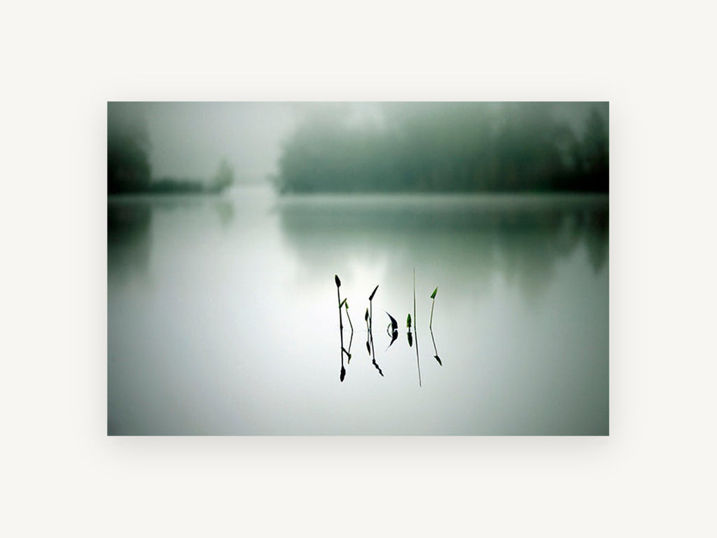 Still Water Shoots, misty lake reeds reflection photograph, landscape canvas wall art print, front view