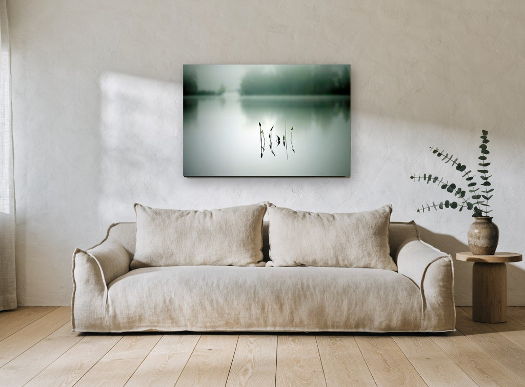 Still Water Shoots landscape canvas print on the wall of a living room