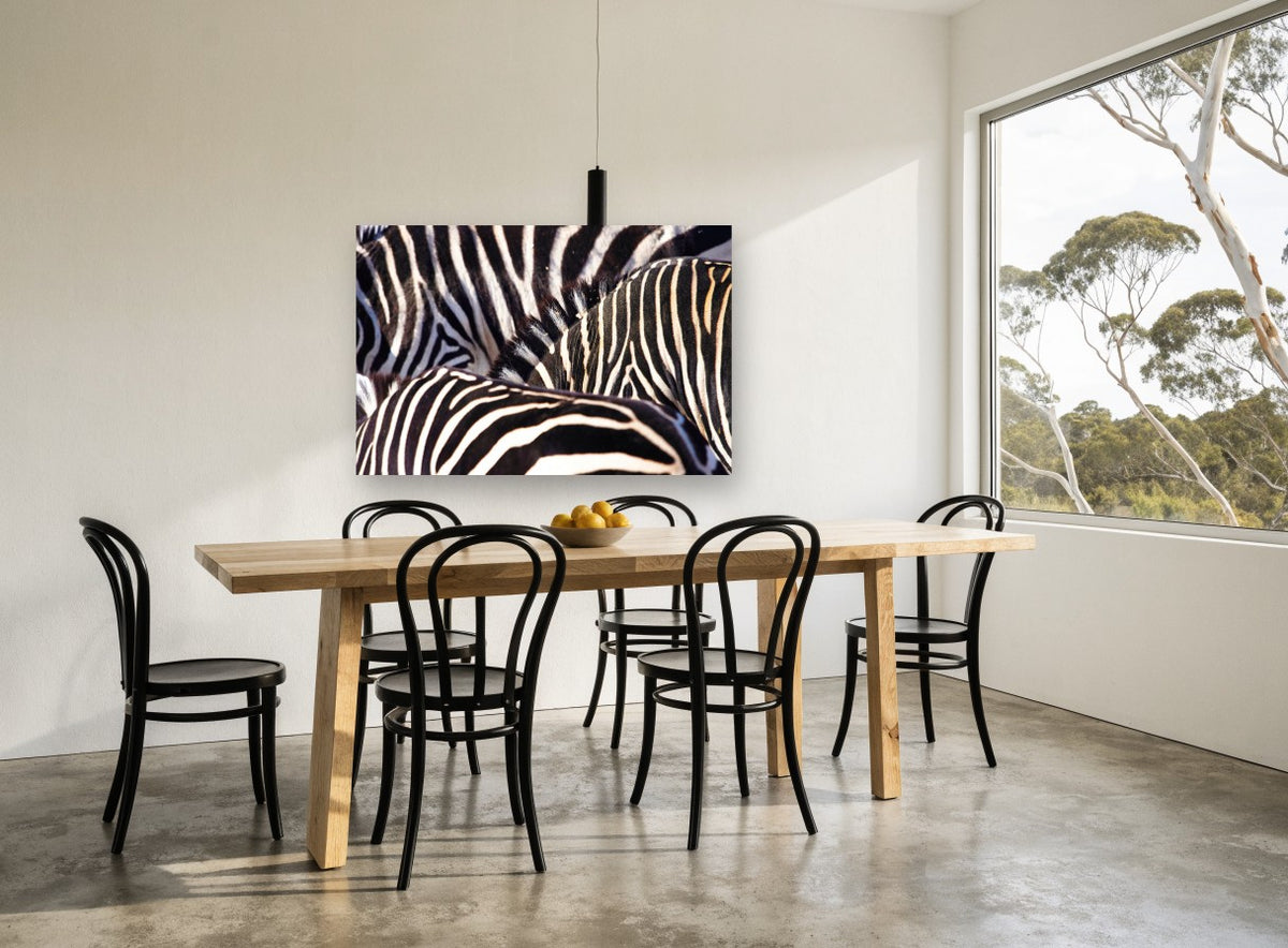 Zebra Stripe Huddle animal canvas print on the wall of a dining room