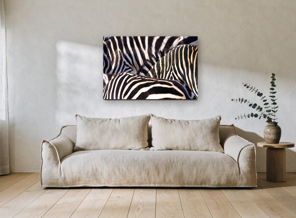 Zebra Stripe Huddle animal canvas print on the wall of a living room