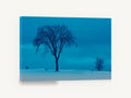 Blue Hour Winter Elm, lone winter tree blue photograph, landscape canvas wall art print ready to hang