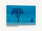 Blue Hour Winter Elm, lone winter tree blue photograph, landscape canvas wall art print ready to hang
