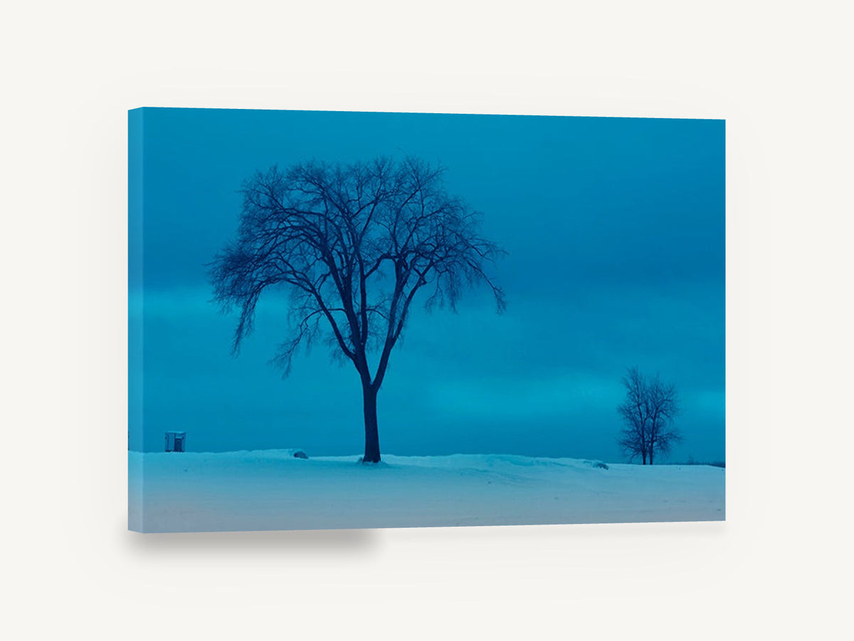 Blue Hour Winter Elm, lone winter tree blue photograph, landscape canvas wall art print ready to hang