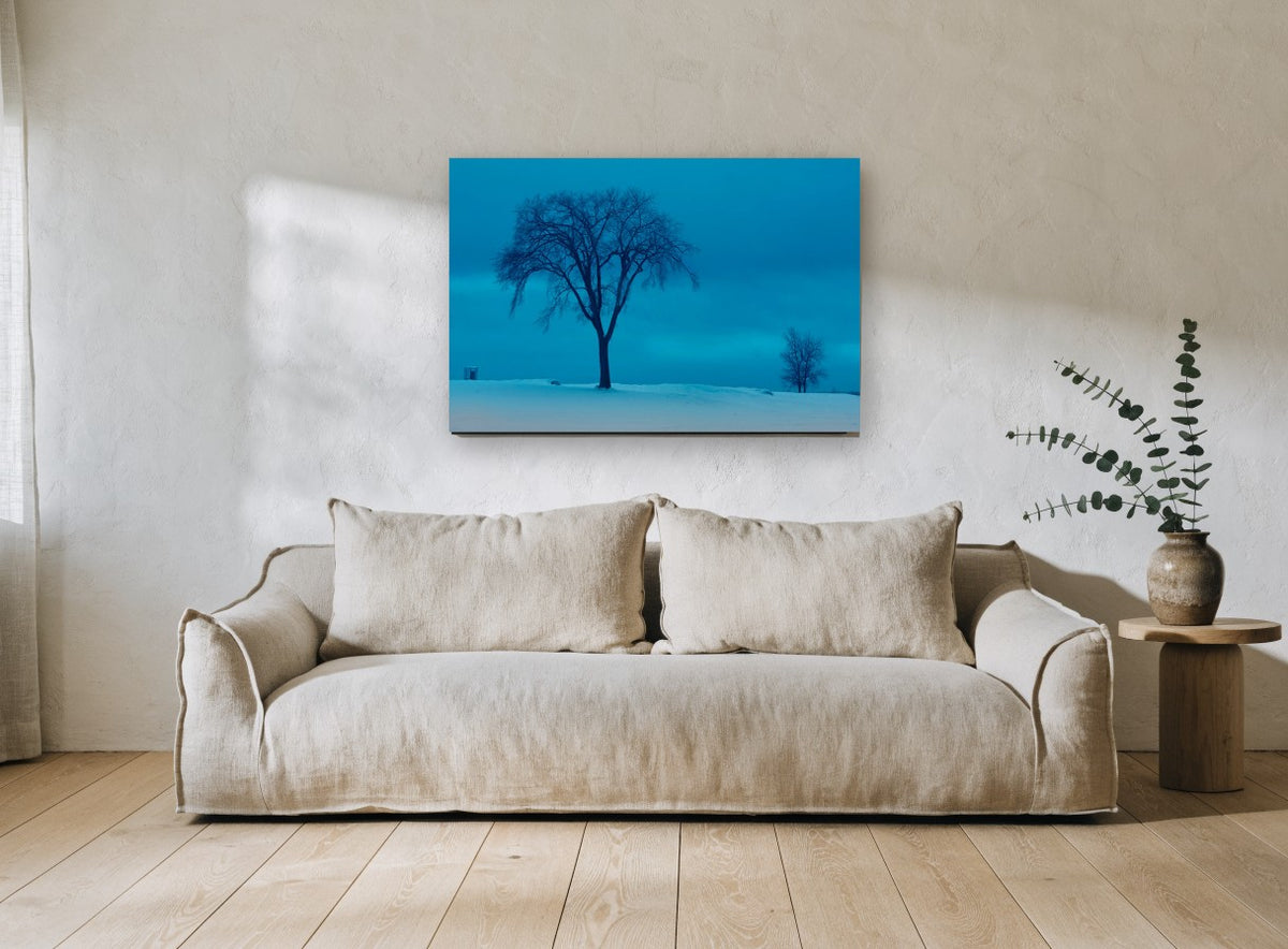 Blue Hour Winter Elm landscape canvas print on the wall of a living room