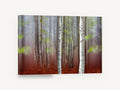 Two Birches in Rust, birch trees autumn forest photograph, landscape canvas wall art print ready to hang