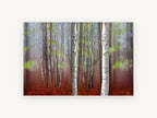 Two Birches in Rust, birch trees autumn forest photograph, landscape canvas wall art print, front view