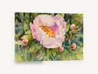 Open Pink Peony, pink peony watercolour floral, floral canvas wall art print ready to hang