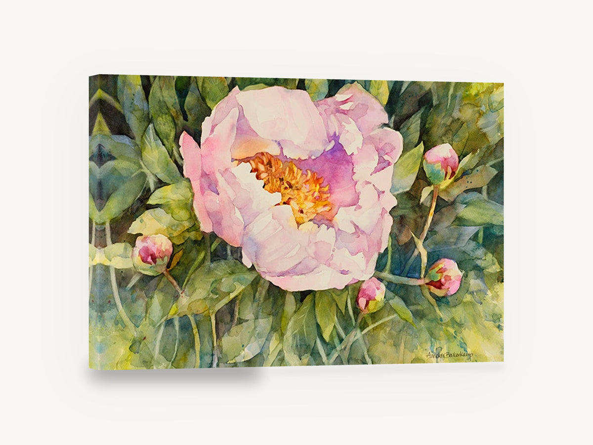 Open Pink Peony, pink peony watercolour floral, floral canvas wall art print ready to hang