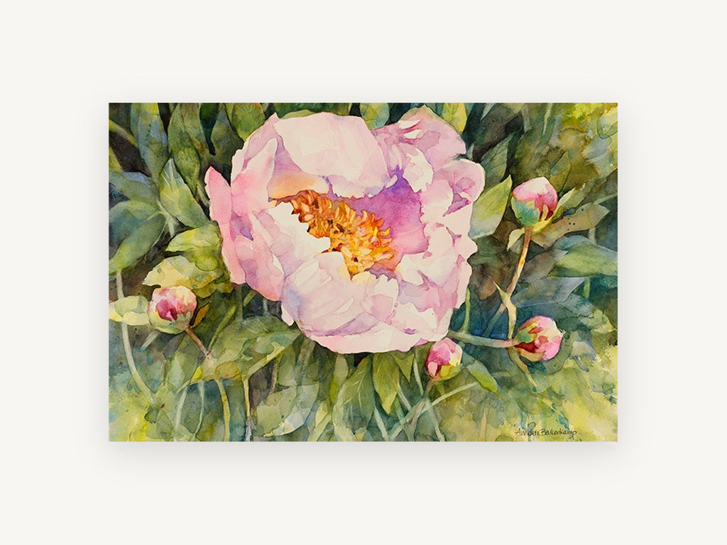 Open Pink Peony, floral canvas wall art print, front view