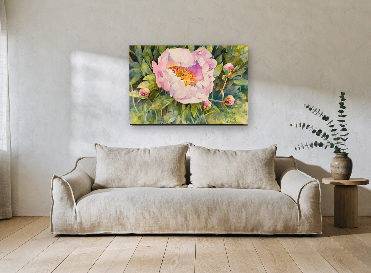 Open Pink Peony floral canvas print on the wall of a living room
