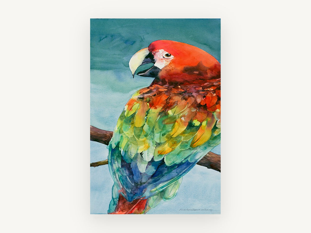 Scarlet Macaw on Branch, scarlet macaw watercolour portrait, animal canvas wall art print, front view