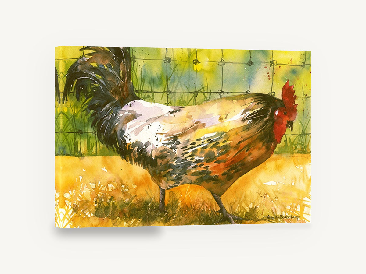 Rooster by the Wire, watercolour rooster farmyard fence, landscape canvas wall art print ready to hang