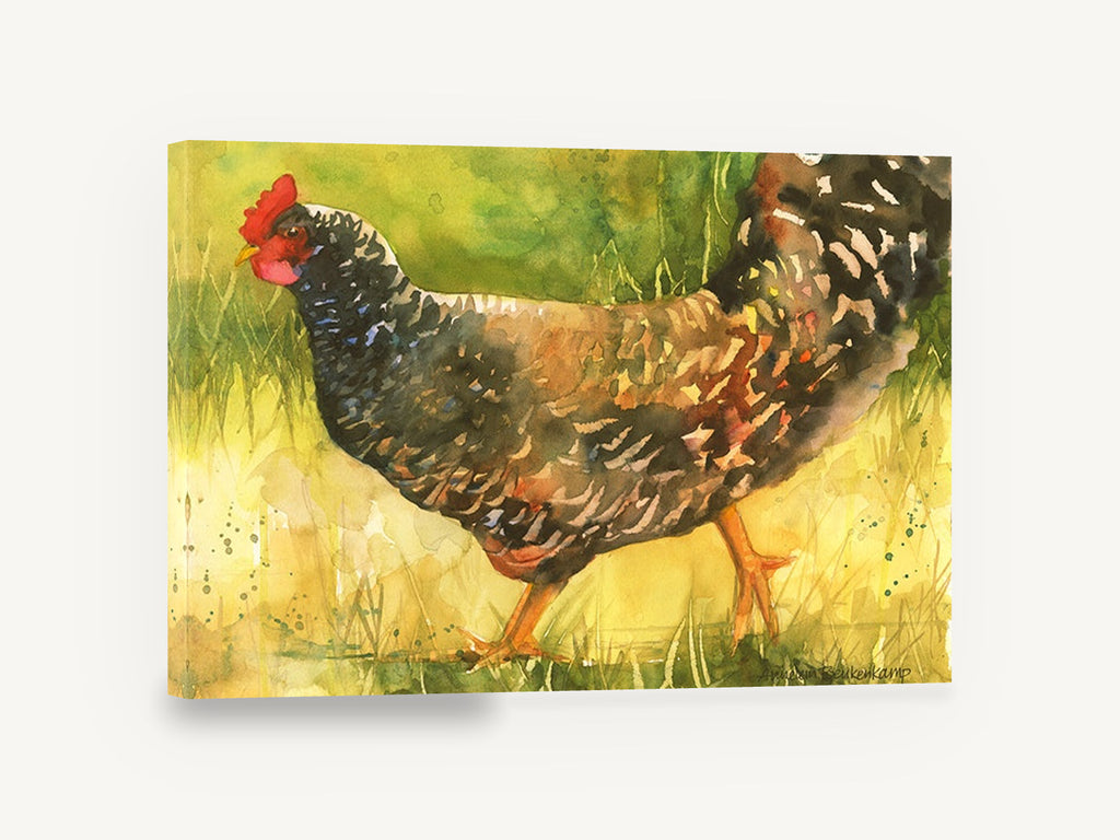 Barred Hen Walking, speckled hen in grass watercolour, landscape canvas wall art print ready to hang