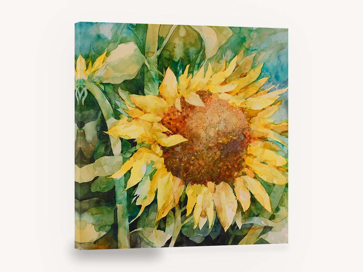 Sunflower in Full Face, yellow sunflower watercolour floral, floral canvas wall art print ready to hang