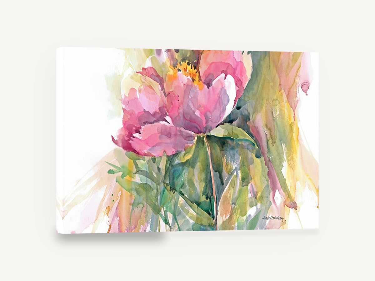 Blushing Peony Study, pink peony watercolour floral, floral canvas wall art print ready to hang