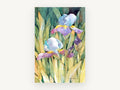 Sunlit Iris Garden, floral canvas wall art print, front view