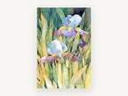 Sunlit Iris Garden, floral canvas wall art print, front view