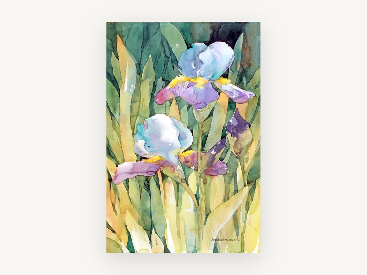 Sunlit Iris Garden, floral canvas wall art print, front view