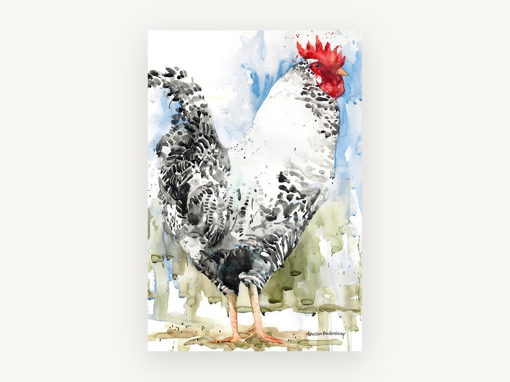 Barred Rooster in Blue, barred rooster watercolour portrait, animal canvas wall art print, front view
