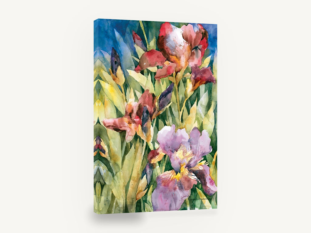 Iris Garden Bloom, red and purple iris watercolour floral, floral canvas wall art print ready to hang