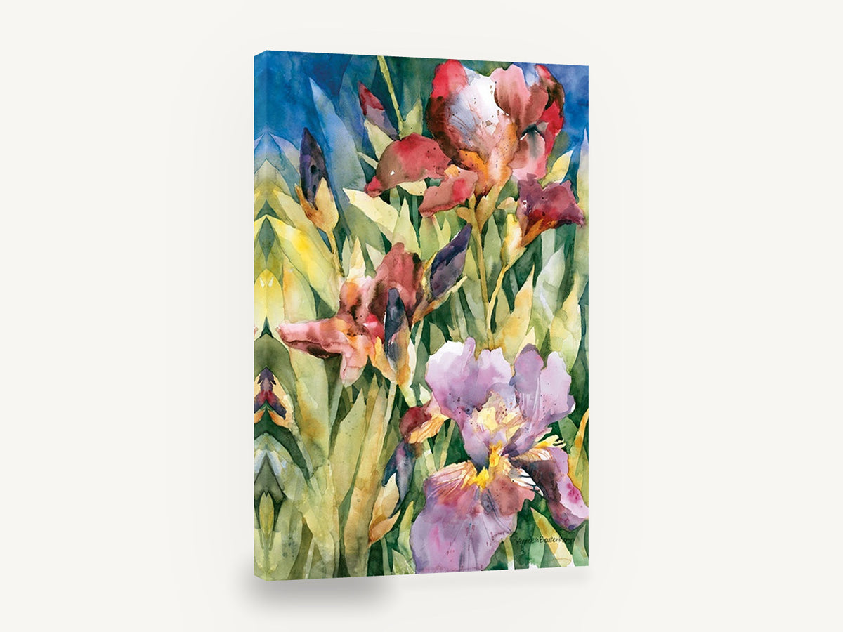 Iris Garden Bloom, red and purple iris watercolour floral, floral canvas wall art print ready to hang