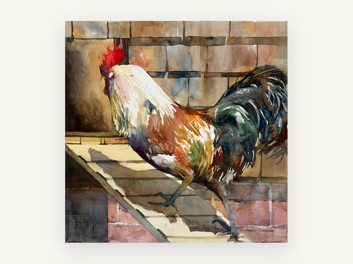 Rooster on the Ramp, rooster watercolour farmyard portrait, animal canvas wall art print, front view
