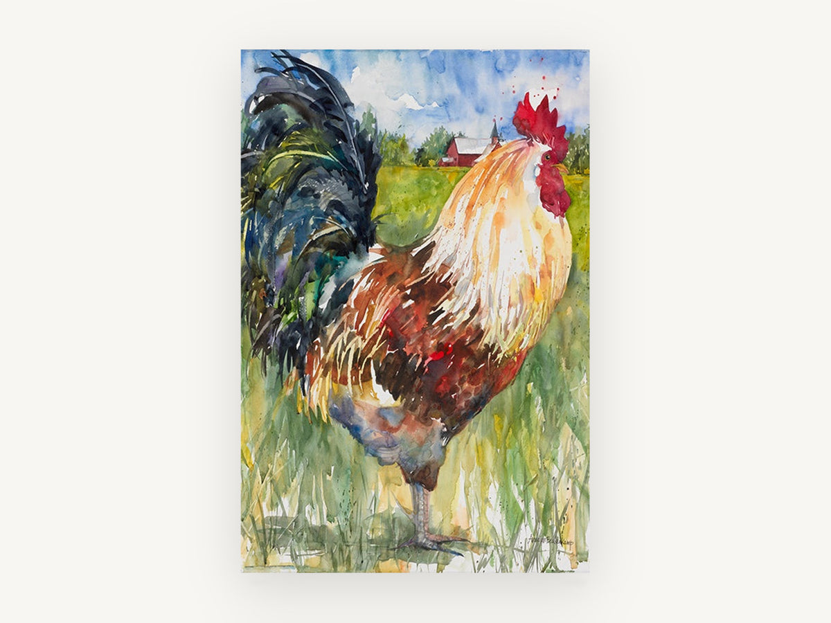 Crowing Farmyard Rooster, rooster watercolour farm portrait, animal canvas wall art print, front view