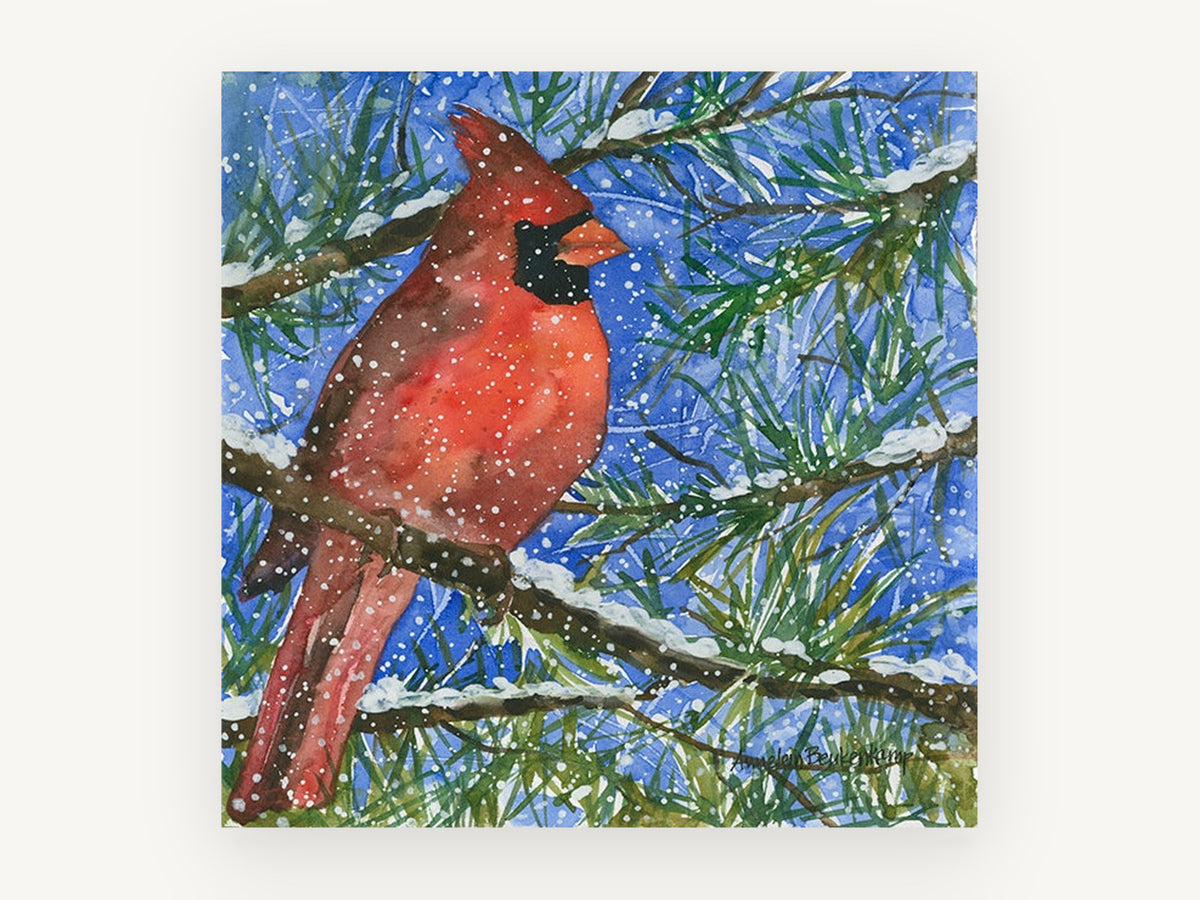 Cardinal in Snowy Pine, red cardinal winter watercolour, animal canvas wall art print, front view