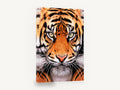 Tiger Gaze Close-Up, tiger face close-up portrait, animal canvas wall art print ready to hang