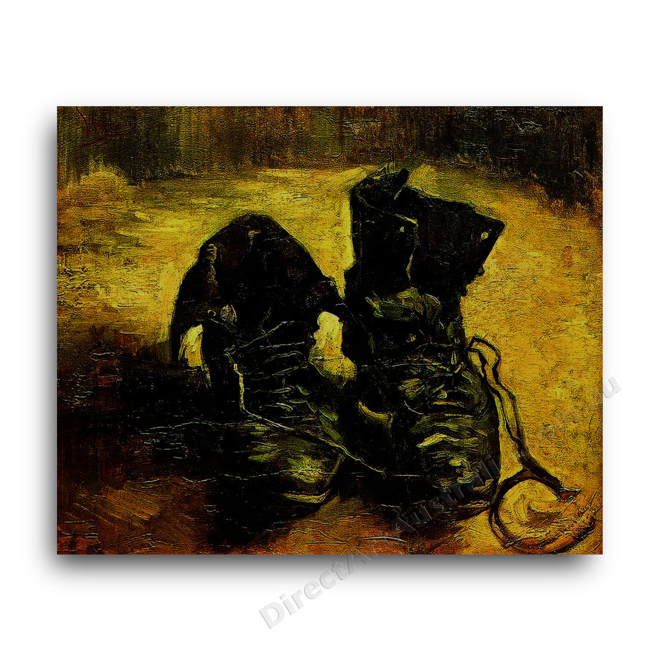 A Pair of Shoes