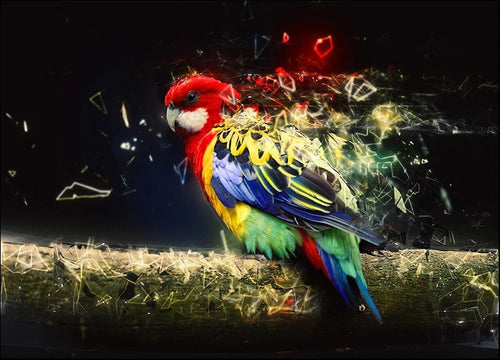 Abstract Parrot Bird Wall Art Print