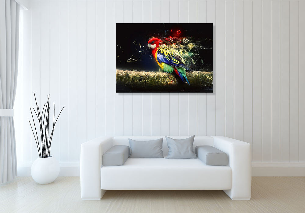 Abstract Parrot Bird Wall Art Print on the wall