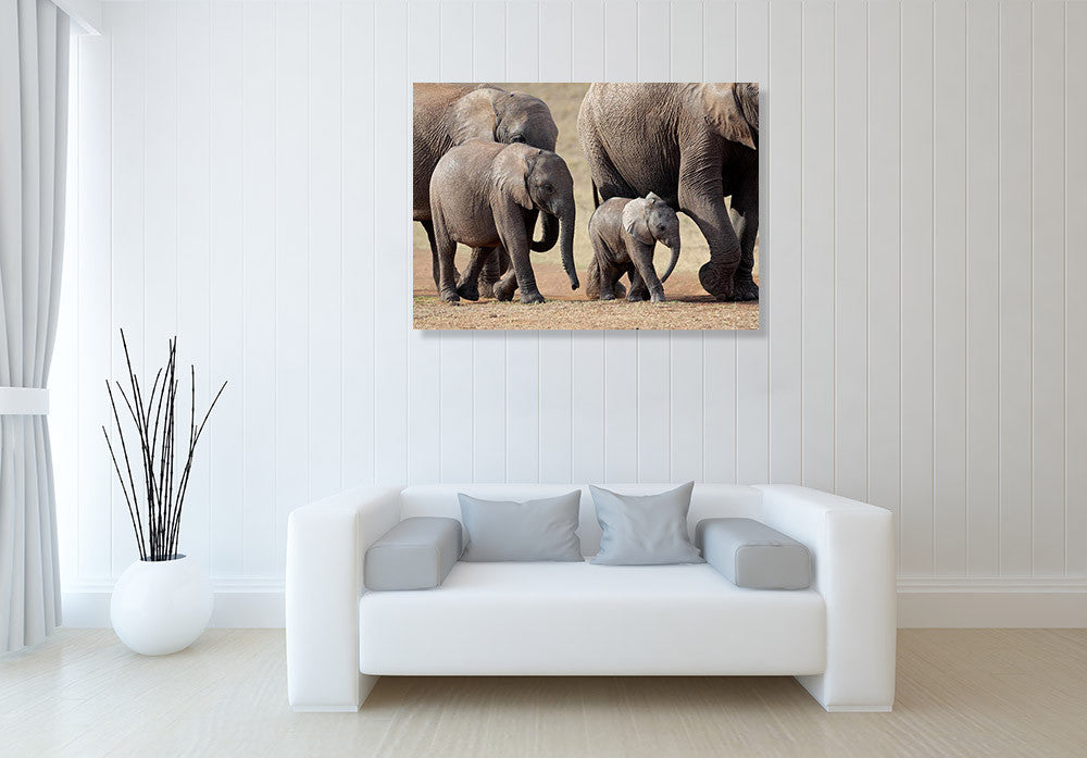 African Elephant Wall Art Print on the wall