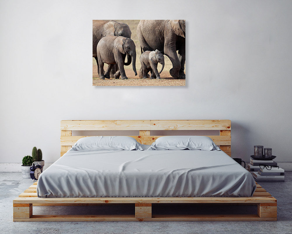 African Elephant Wall Art Print on the wall