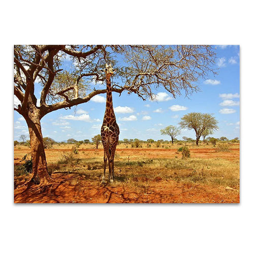 African Giraffe Wall Art Print