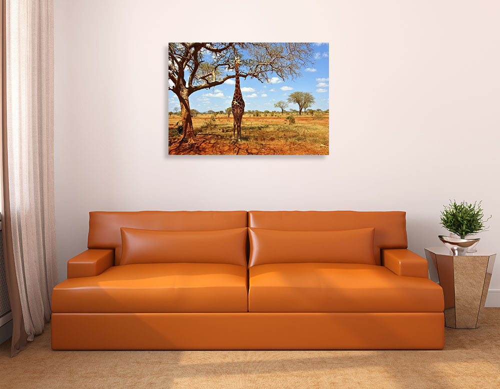 African Giraffe Wall Art Print on the wall