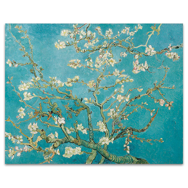 Almond Blossom