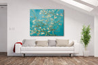 Almond Blossom on the wall