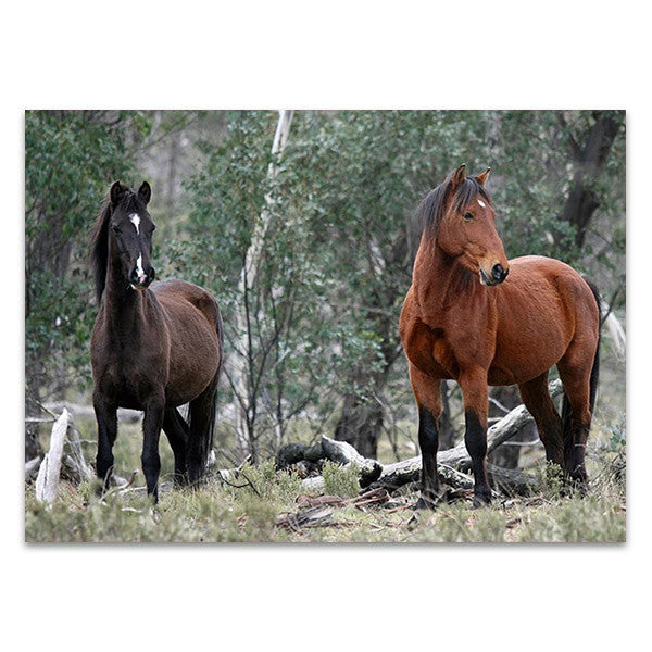 Alpine National Park Wall Art Print