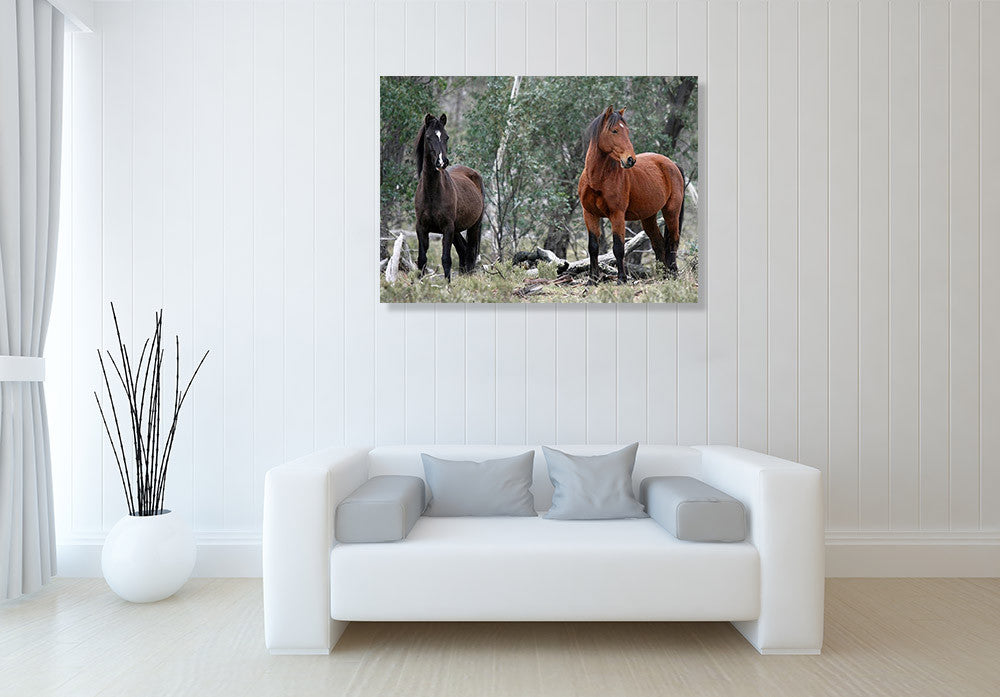 Alpine National Park Wall Art Print on the wall