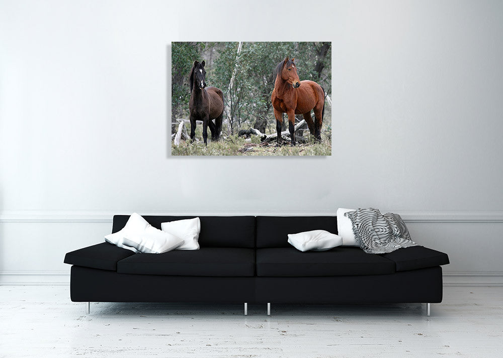 Alpine National Park Wall Art Print on the wall