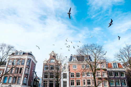 Amsterdam Reflection Wall Art Print