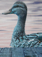Aqua Duck Wall Art Print