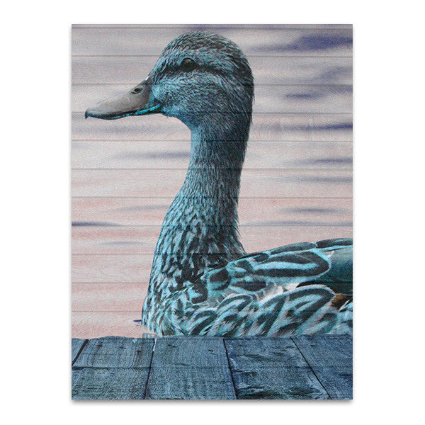 Aqua Duck Wall Art Print