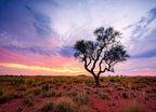 Australia Pilbara Region Wall Art Print